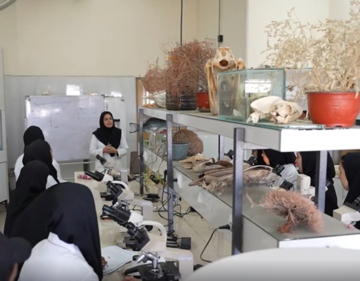 آزمایشگاه ها 