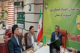 تأکید بر توسعه همکاری‌های دانشگاه جیرفت و جهاد کشاورزی جنوب کرمان برای رفع چالش‌های بخش کشاورزی