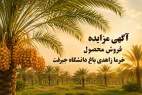مزایده فروش محصول خرما زاهدی باغ دانشگاه جیرفت ـ مرحله دوم | شماره مزایده ۶۰۰۵۰۹۰۹۱۸۰۰۰۰۱۵