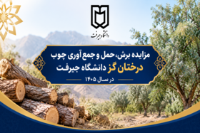 مزایده برش، حمل و جمع‌آوری چوب درختان گز دانشگاه جیرفت در سال ۱۴۰۵