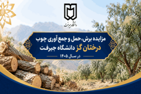 مزایده برش، حمل و جمع‌آوری چوب درختان گز دانشگاه جیرفت در سال ۱۴۰۵
