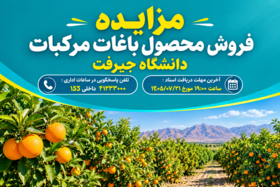 مزایده فروش محصول باغات مرکبات دانشگاه جیرفت-مرحله اول به شماره 1005090918000001