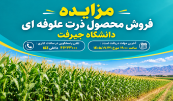 مزایده فروش محصول ذرت علوفه ای دانشگاه جیرفت-مرحله اول به شماره 1005090918000002
