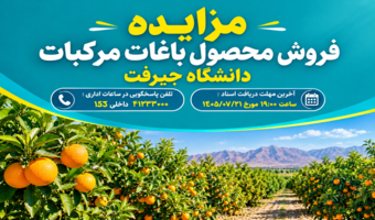مزایده فروش محصول باغات مرکبات دانشگاه جیرفت-مرحله اول به شماره 1005090918000001