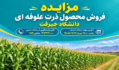 مزایده فروش محصول ذرت علوفه ای دانشگاه جیرفت-مرحله اول به شماره 1005090918000002