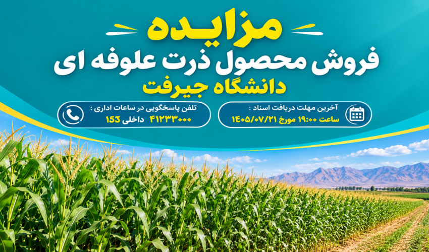 مزایده فروش محصول ذرت علوفه ای دانشگاه جیرفت-مرحله اول به شماره 1005090918000002